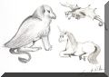3magical-creatures.JPG