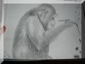 Chimp-painting.jpg
