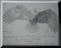 Eagle_Isaiah40-31.JPG