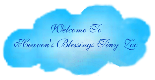 Welcome to Heaven's Blessings Tiny Zoo