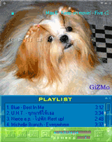 Click Here For Download!!