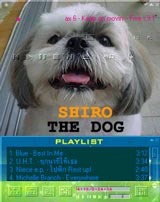 Click Here For Download!!