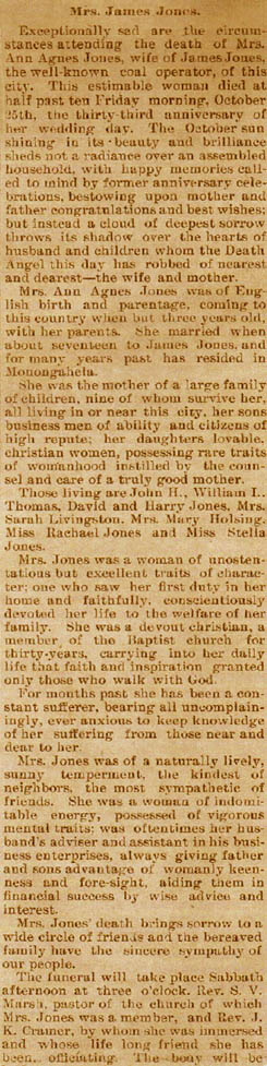 Ann Agnes Ivill Jones Obit 1895