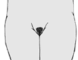 drawing of the 3rd stage of pubic hair