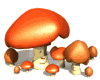 mushrooms