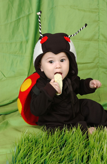 Sean Chen - Model - 2001