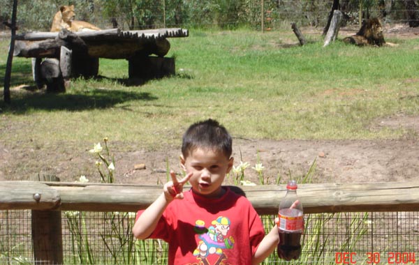 Page Under-Construction