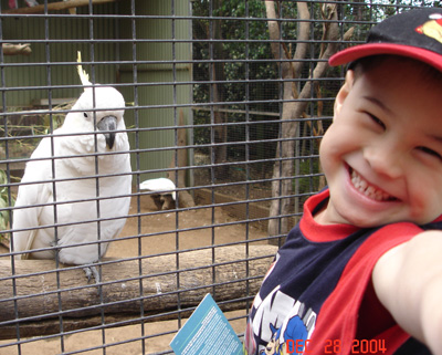 Page Under-Construction