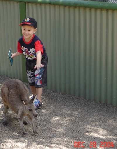 Page Under-Construction