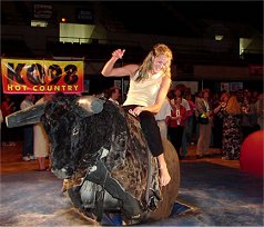 br1.jpg (16800 bytes)