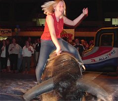 br2.jpg (13777 bytes)