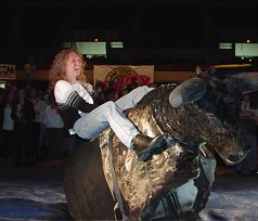 br3.jpg (13551 bytes)