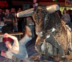 br4.jpg (16108 bytes)