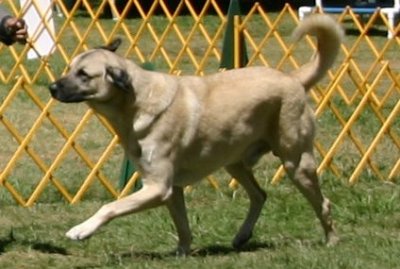 I never get tired of this!!