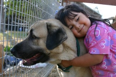 Doing what ASD's love most