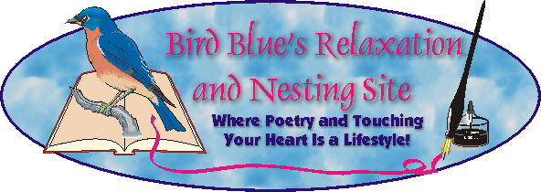 Hi! I'm the Bird Blue