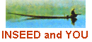Find out what INSEED can offer you