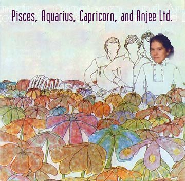 Step into Anjee's World...