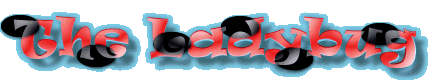 The Ladybug!