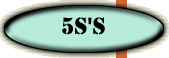 Five S!