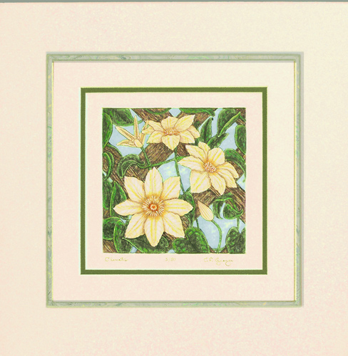 Clematis5-D Original Print - Etching, Aquatint and Watercolor