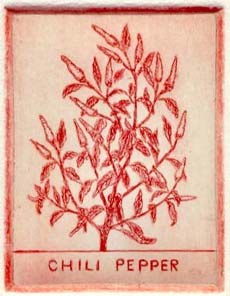 ChiliPepperRed Original Print - Etching Example