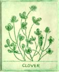 CloverGreenSm