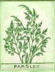ParsleyFlatGreenSm