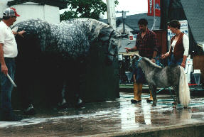 bigsmal.jpg - 16.90 K