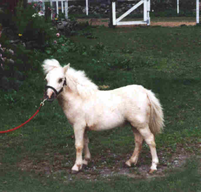 jffnicnc.jpg - 23.85 K