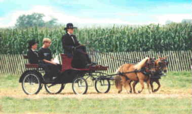 jffteam1.jpg - 13.81 K