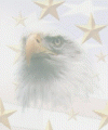 eag.gif (46352 bytes)