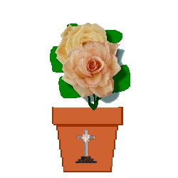 The Site Fights 
Spirit Flowers