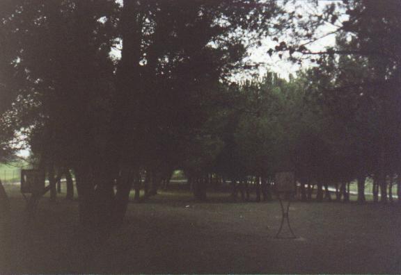 THE LITTLE WOOD OF PIANA ROMANA, IDEAL PLACE OF PRAYER