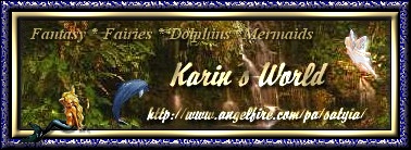Karins World Banner
