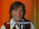 David Cassidy as Keith Partridge