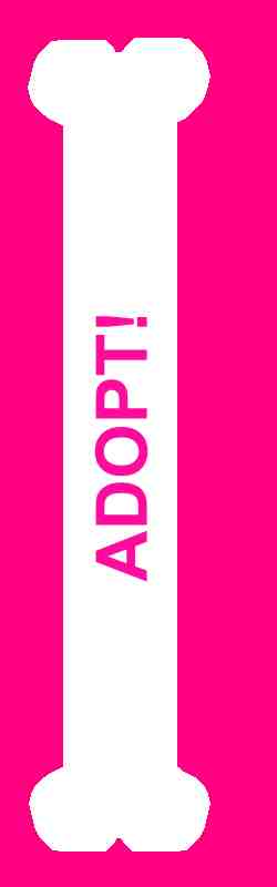 ADOPT!