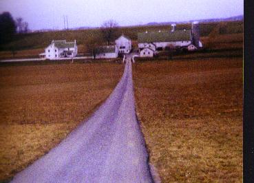 Amish Farm 2