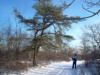Mike at Jack's tree, the 1600 foot mark