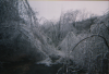 The St. Clair Trail after a early 2005 ice storm