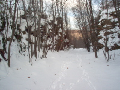 The St. Clair Trail