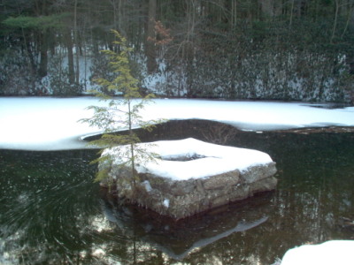 The Small Dam Christmas Tree