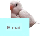 E-Mail me!