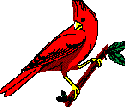 RedBirdL