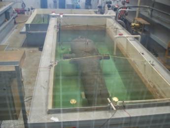 ocean city - virginia beach - august 2009 032.JPG