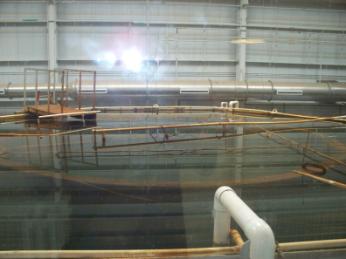 ocean city - virginia beach - august 2009 034.JPG