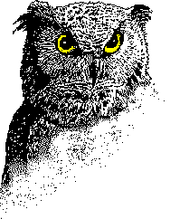 owl ircs