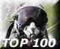 AVIATION TOP 100 - www.avitop.com