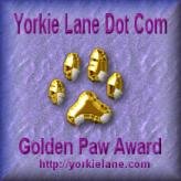 Yorkie Lane gold paw arward