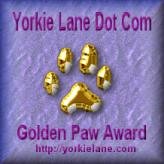 Yorkie Lane gold paw arward
